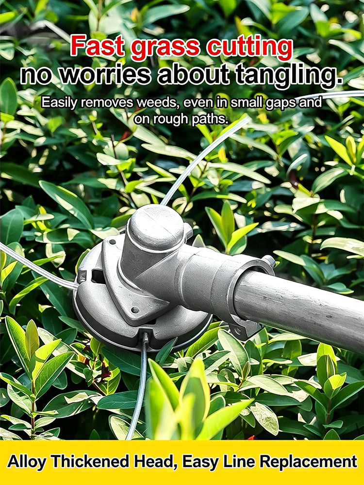 6a55d98bc8a8a.jpg